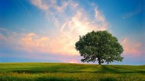 Featured image for “All things Are Yours”