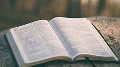 Featured image for “The Bible Tells You Why”